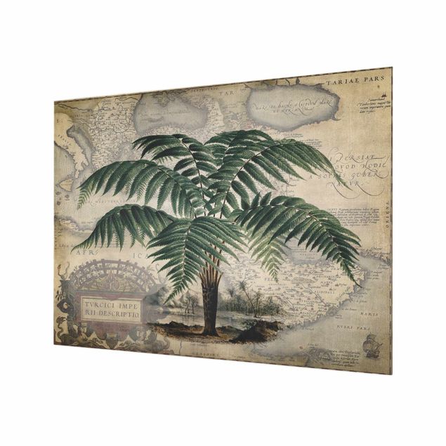 Spatscherm keuken Vintage Collage - Palm And World Map