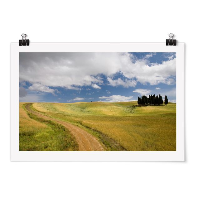 Posters Cypresses In Tuscany