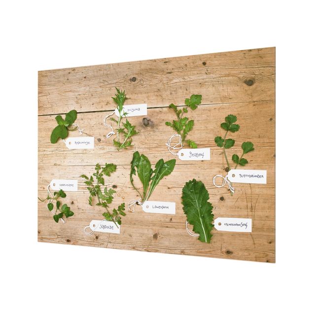 Spatscherm keuken Herbs With Labeling