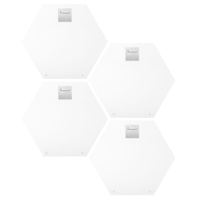 Hexagons Aluminium Dibond schilderijen - 4-delig Sloth Proverbs Set II