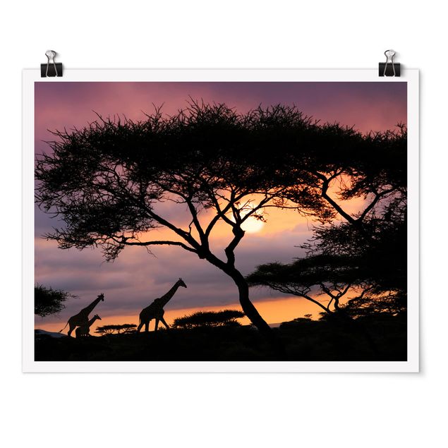 Posters African Safari