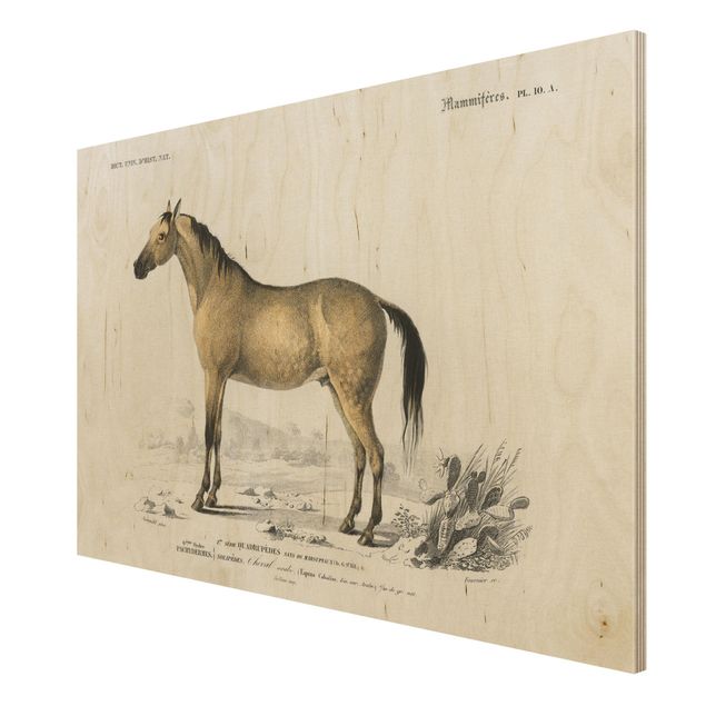 Houten schilderijen Vintage Board Horse
