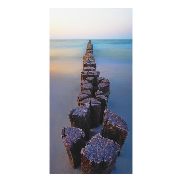 Aluminium Dibond schilderijen Groynes At Sunset At The Ocean