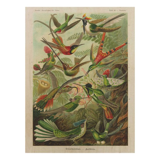 Houten schilderijen Vintage Board Hummingbirds