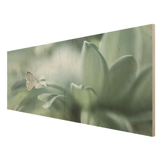 Houten schilderijen Butterfly And Dew Drops In Pastel Green