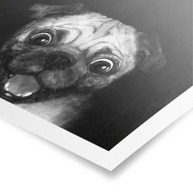 Posters Illustration Dog Pug Painting On Black And White
