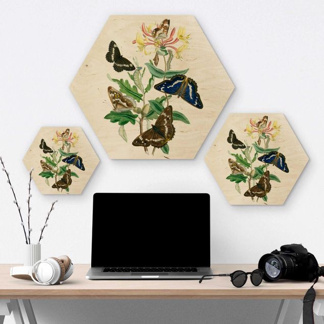 Hexagons houten schilderijen British Butterflies IV