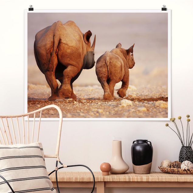 Posters Wandering Rhinos