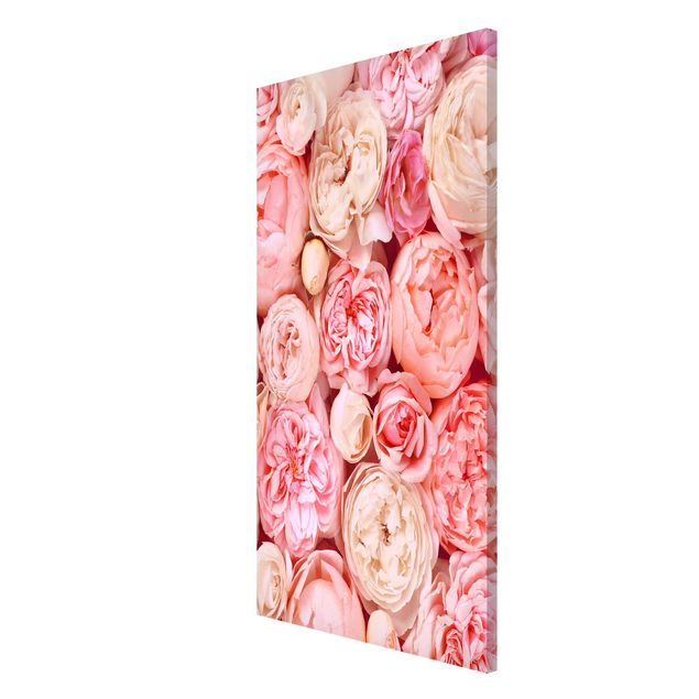 Magneetborden Roses Rosé Coral Shabby