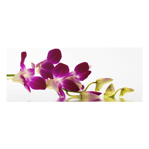 Spatscherm keuken Pink Orchid Waters