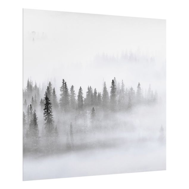 Spatscherm keuken Fog In The Fir Forest Black And White