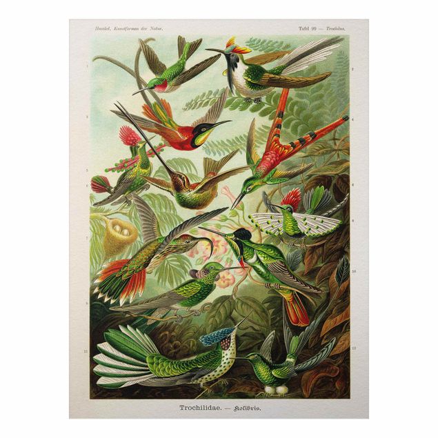 Aluminium Dibond schilderijen Vintage Board Hummingbirds