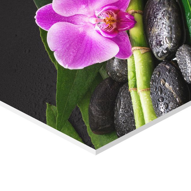 Hexagons Forex schilderijen Green Bamboo With Orchid Blossom