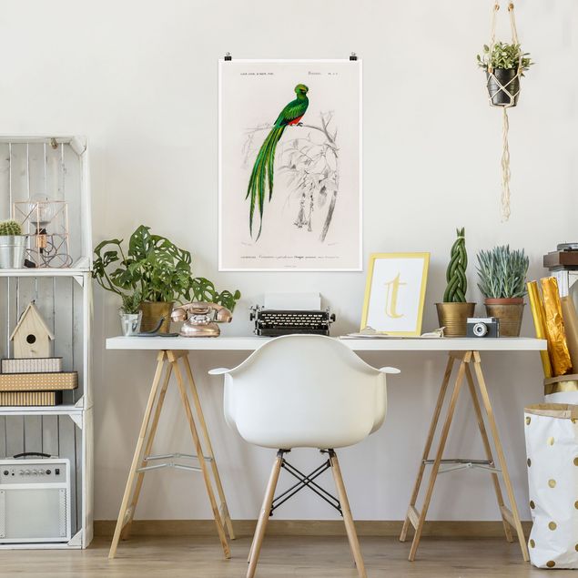 Posters Vintage Board Tropical Bird I