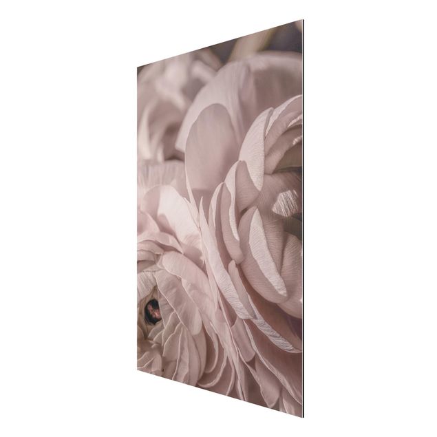 Aluminium Dibond schilderijen Blushing Flower