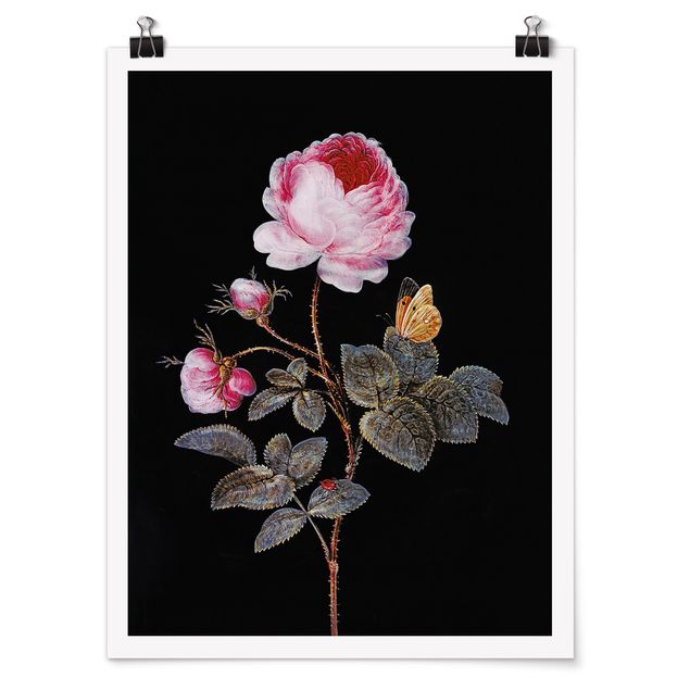 Posters Barbara Regina Dietzsch - The Hundred-Petalled Rose