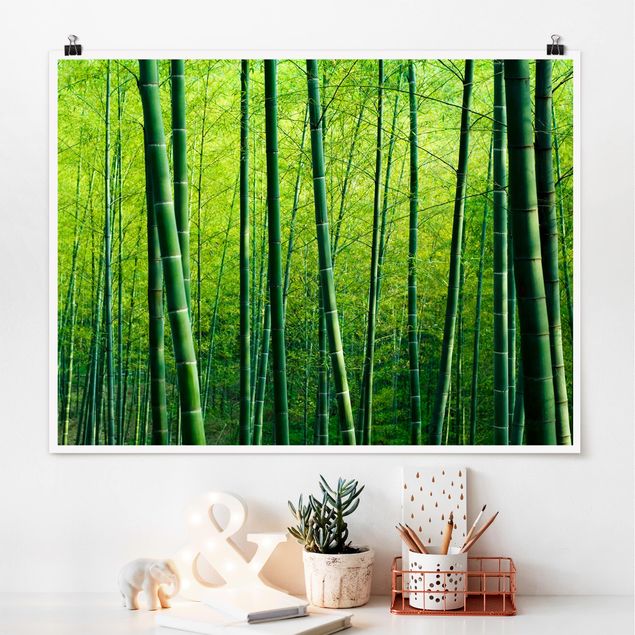 Posters Bamboo Forest