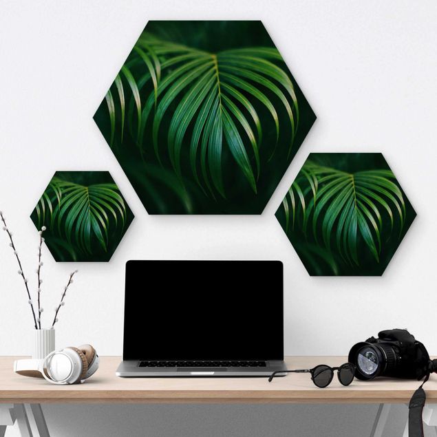 Hexagons houten schilderijen Palm Fronds