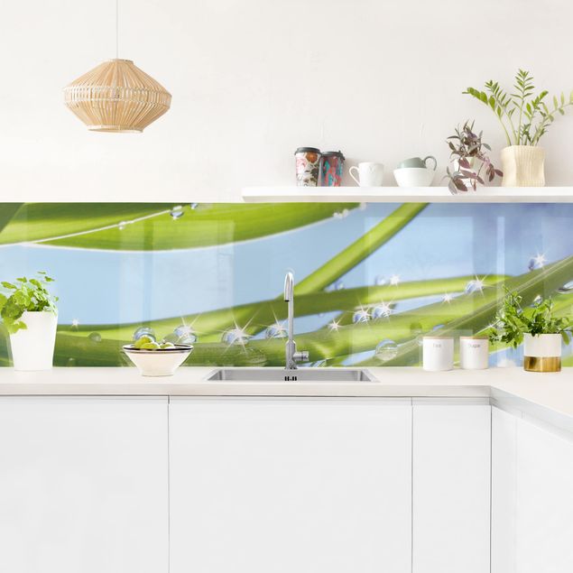 Achterwand voor keuken Fresh Green