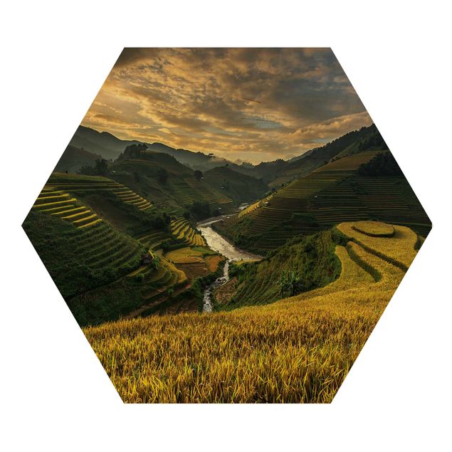 Hexagons houten schilderijen Rice Plantations In Vietnam