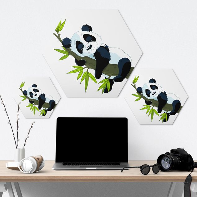 Hexagons Aluminium Dibond schilderijen Sleeping Panda