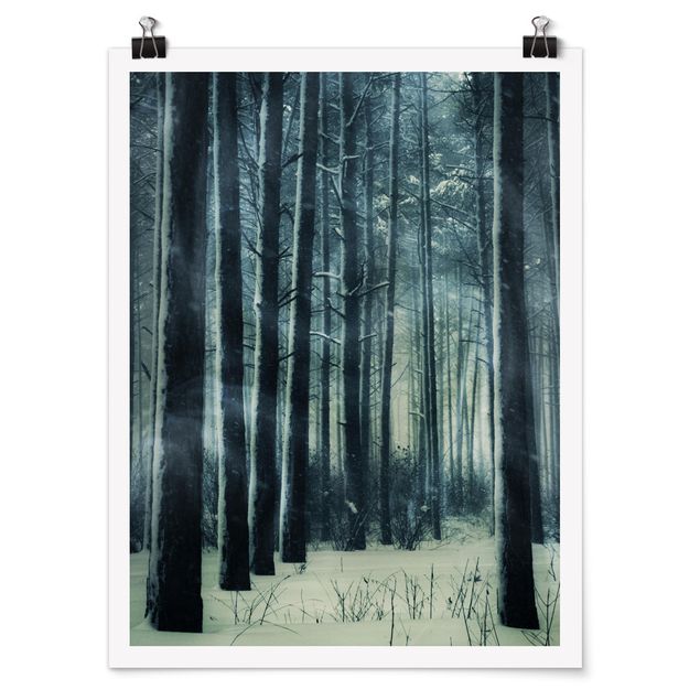 Posters Mystical Winter Forest