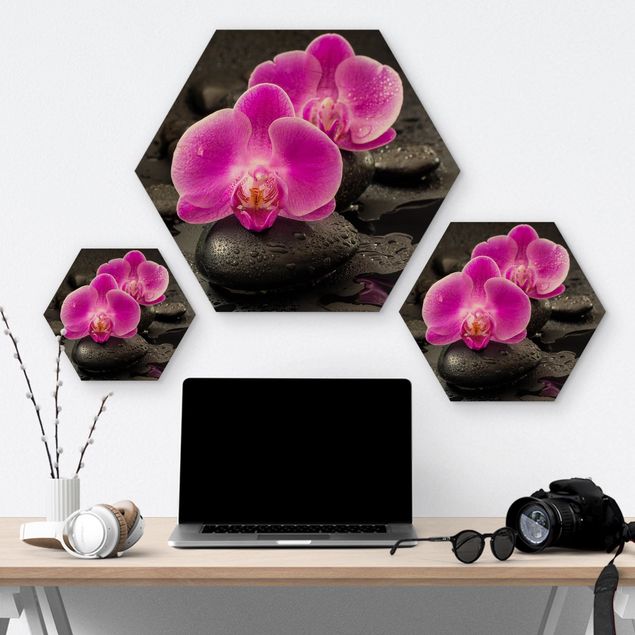 Hexagons houten schilderijen Pink Orchid Flowers On Stones With Drops