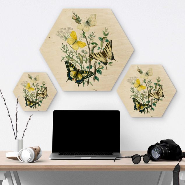 Hexagons houten schilderijen British Butterflies III
