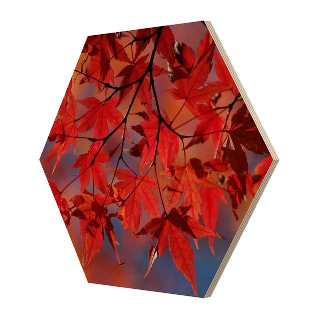 Hexagons houten schilderijen Red Maple