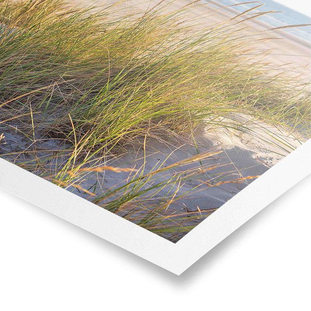 Posters Beach Dune At The Sea