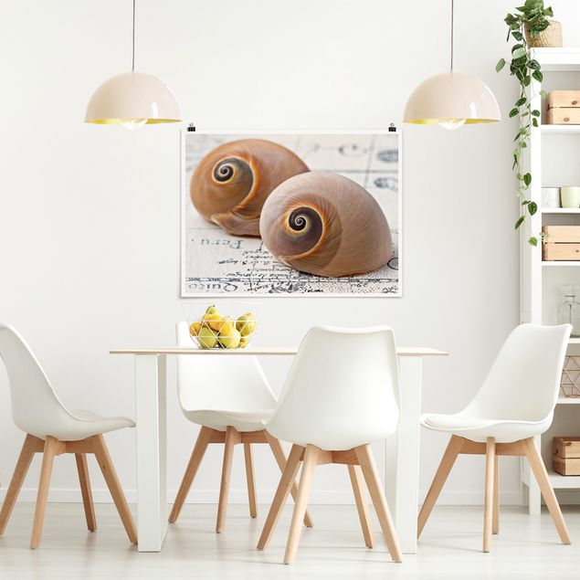 Posters Shell Duo