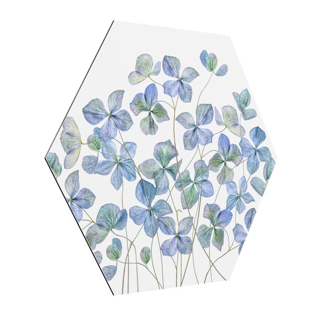 Hexagons Aluminium Dibond schilderijen Blue Hydrangea Flowers
