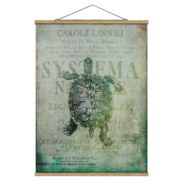 Stoffen schilderij met posterlijst Vintage Collage - Antique Turtle