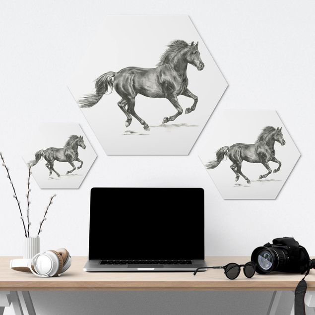 Hexagons Aluminium Dibond schilderijen Wild Horse Trial - Stallion