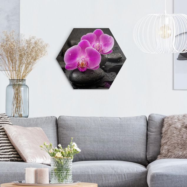 Hexagons Aluminium Dibond schilderijen Pink Orchid Flower On Stones With Drops
