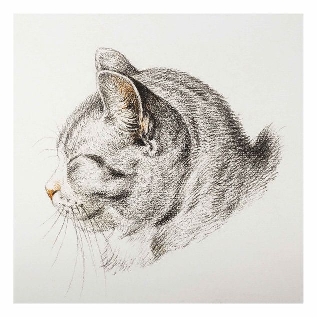 Aluminium Dibond schilderijen Vintage Drawing Cat III