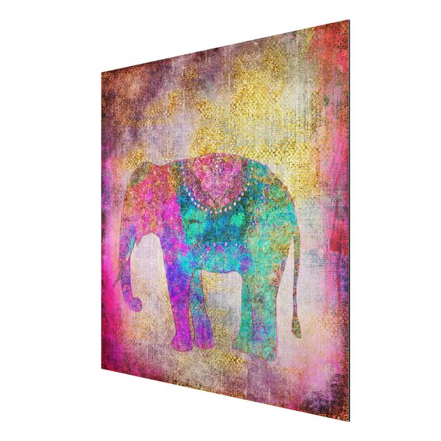 Aluminium Dibond schilderijen Colourful Collage - Indian Elephant