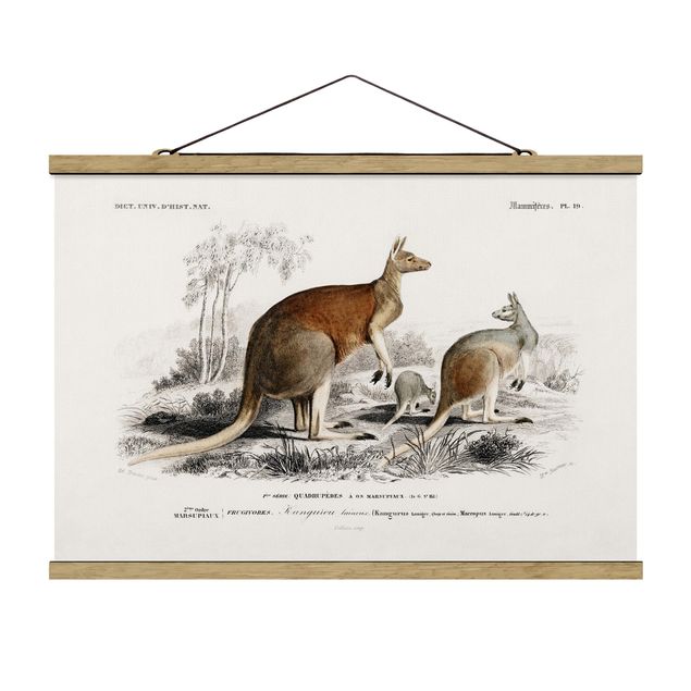 Stoffen schilderij met posterlijst Vintage Board Kangaroo