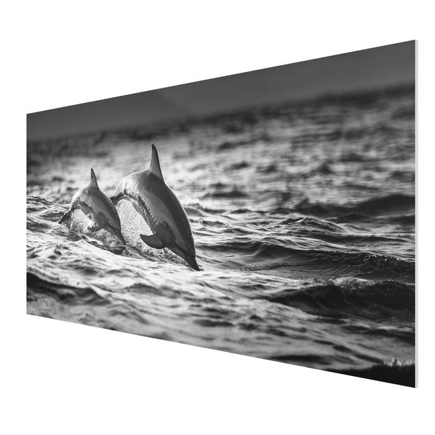 Forex schilderijen Two Jumping Dolphins