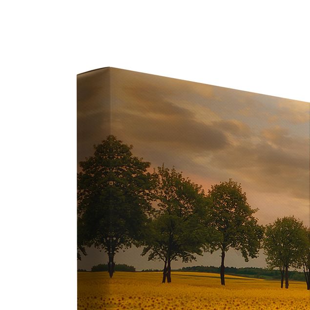 Canvas schilderijen - 3-delig Field With Sunflowers