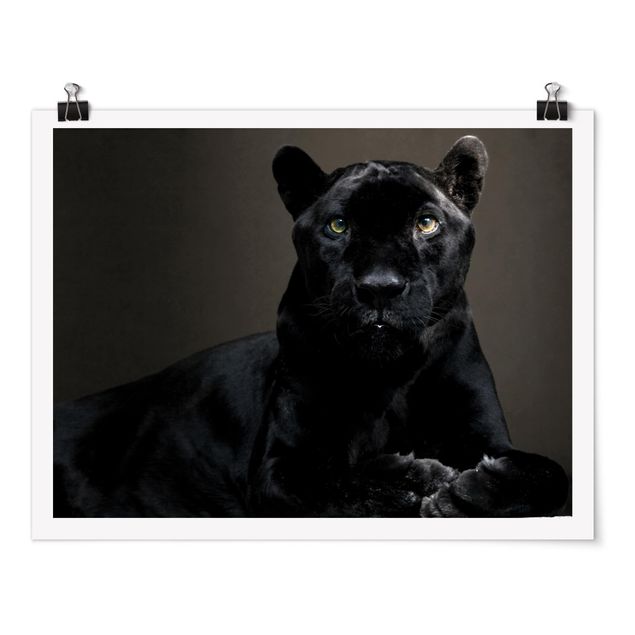 Posters Black Puma