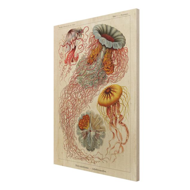 Houten schilderijen Vintage Board Jellyfish