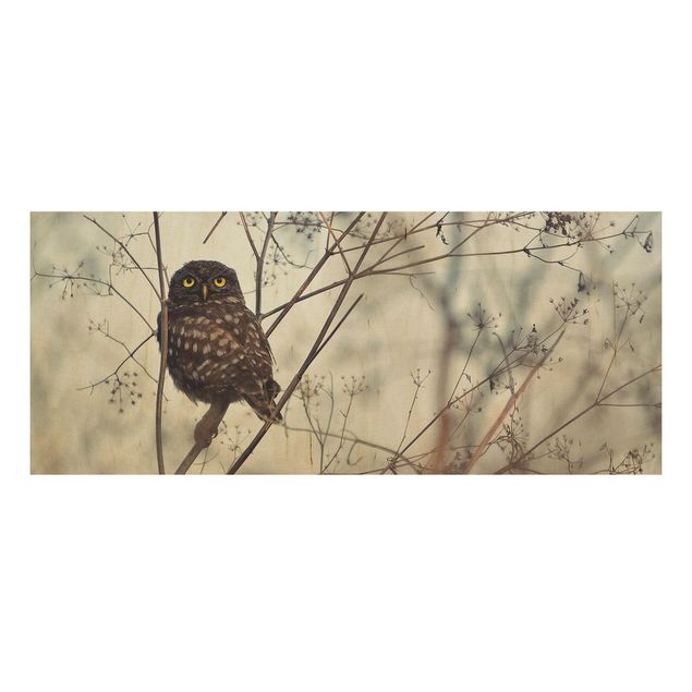 Houten schilderijen Owl In The Winter