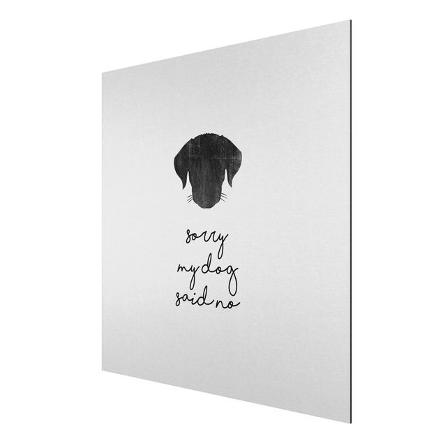 Aluminium Dibond schilderijen Pet Quote Sorry My Dog Said No