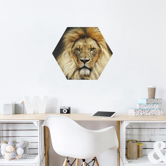 Hexagons Aluminium Dibond schilderijen Wisdom Of Lion