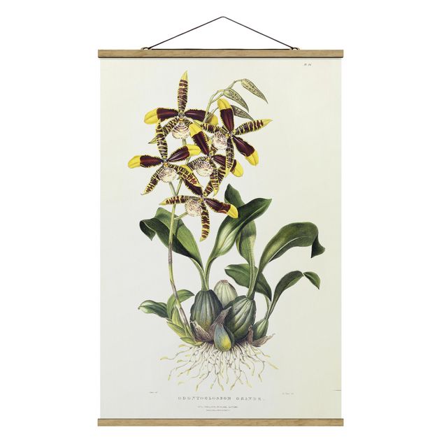 Stoffen schilderij met posterlijst Maxim Gauci - Orchid II