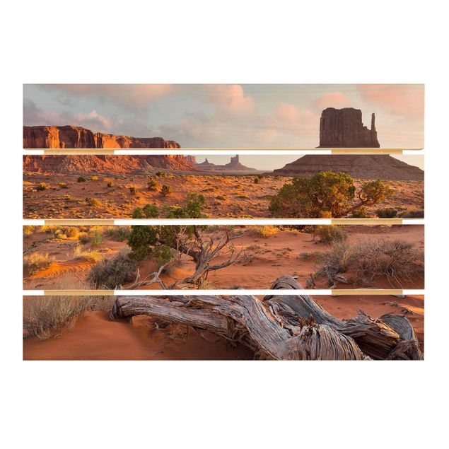 Houten schilderijen op plank Monument Valley Navajo Tribal Park Arizona
