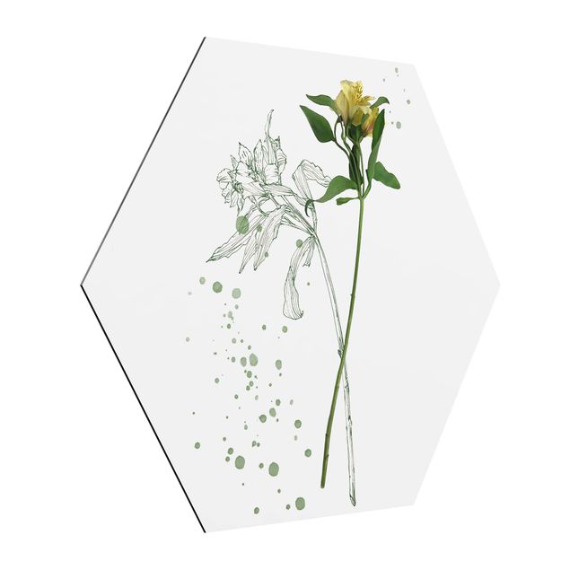 Hexagons Aluminium Dibond schilderijen Botanical Watercolour - Lily