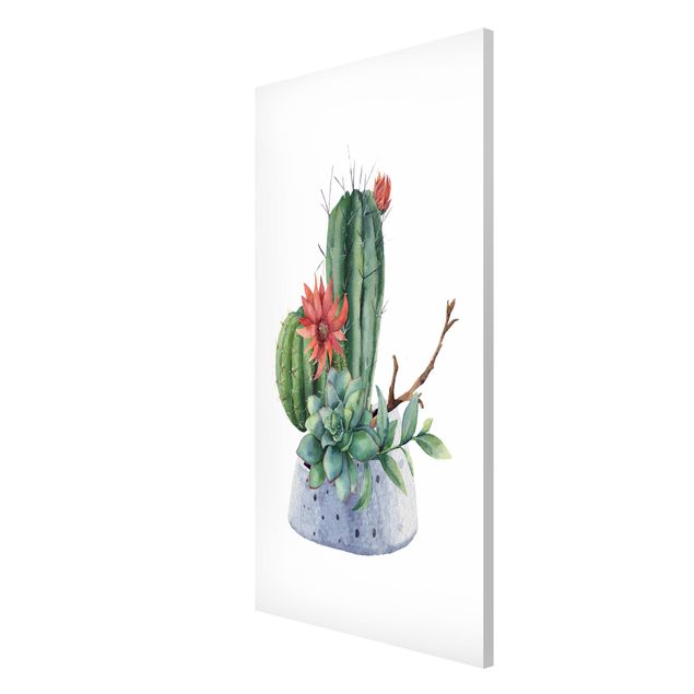 Magneetborden Watercolour Cacti Illustration