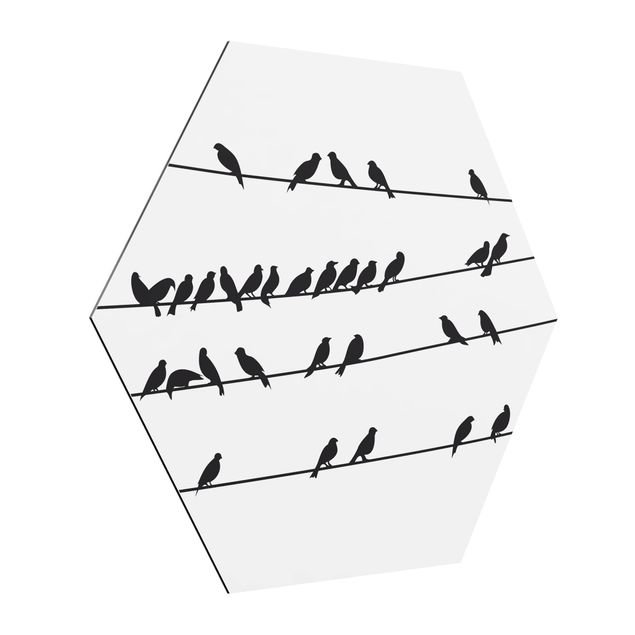 Hexagons Aluminium Dibond schilderijen Flock Of Birds